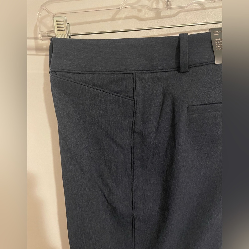 The Limited Exact Stretch Ankle pant